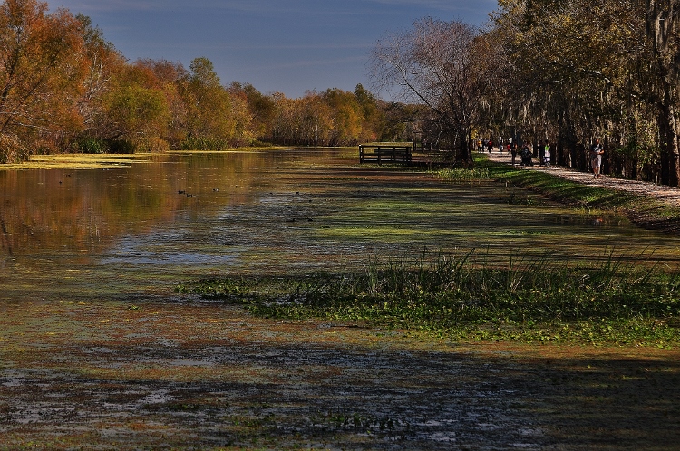 Brazos Bend State Park